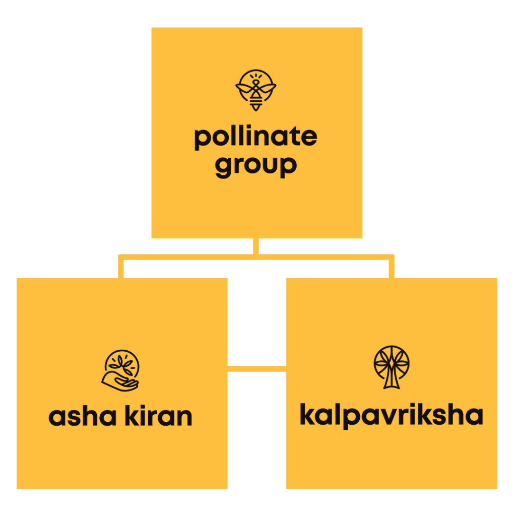 Pollinate Group structure