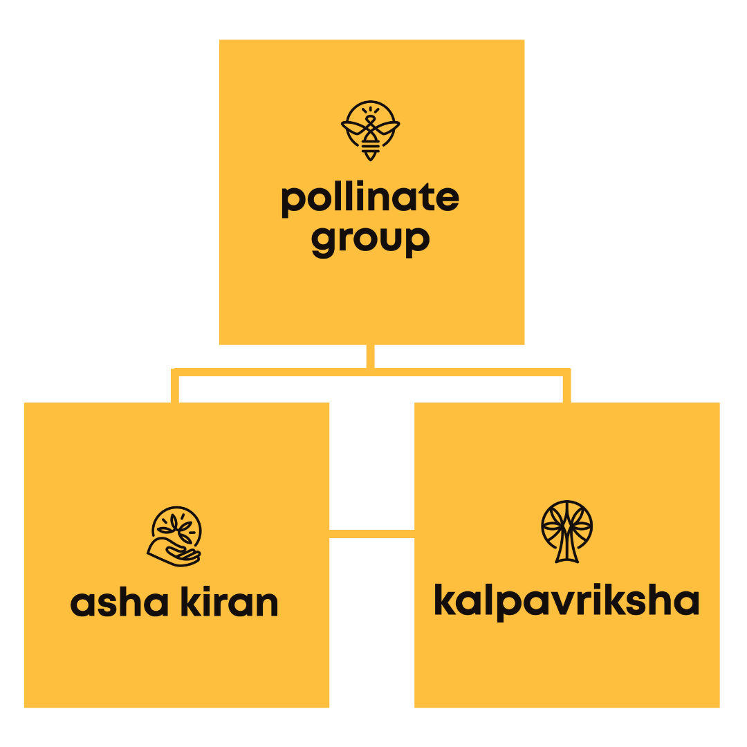 Pollinate Group structure